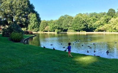Cleaning services in Freedom Park by Queen City Cleaners